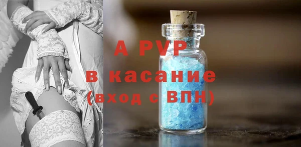гашик Алексин