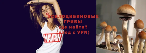 гашик Алексин