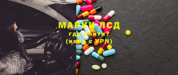 гашик Алексин