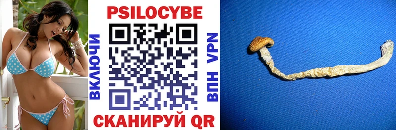 Псилоцибиновые грибы прущие грибы  MEGA зеркало  Тайшет  где можно купить наркотик 